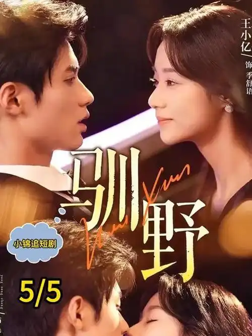风起临江 古装电视剧全集免费观看